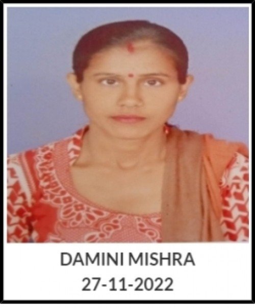 Best All Academic Subjects,English,Hindi tutor in Varanasi